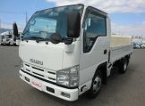 エルフ 10尺平ボディ アーム式パワーゲート付 フルフラットロー の画像